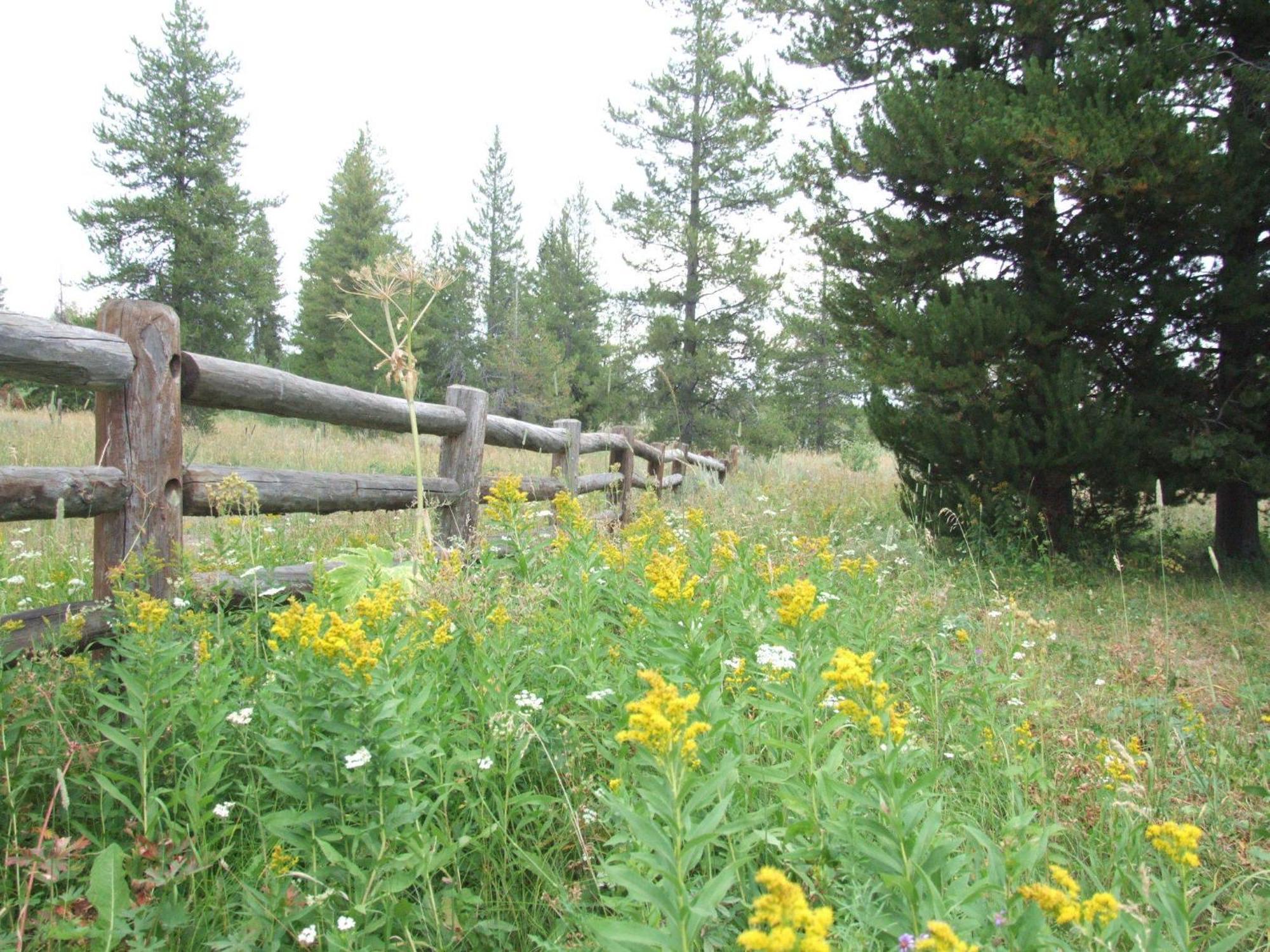 Eagle Ridge Ranch Villa Island Park Exteriör bild